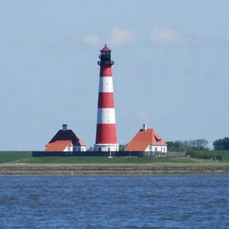 Wiesenpieper